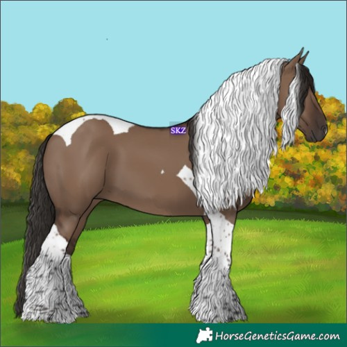 Horse Color:Liver Red Dun Tobiano