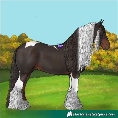 Horse Color:Liver Chestnut Tobiano