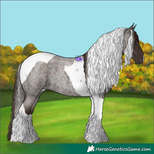 Horse Color:Liver Red Roan Tobiano 