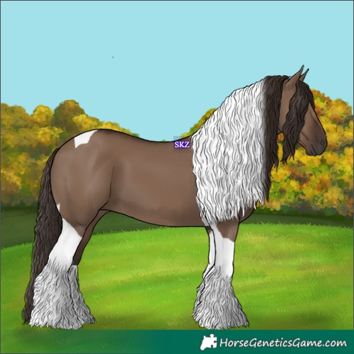Horse Color:Liver Red Dun Tobiano 