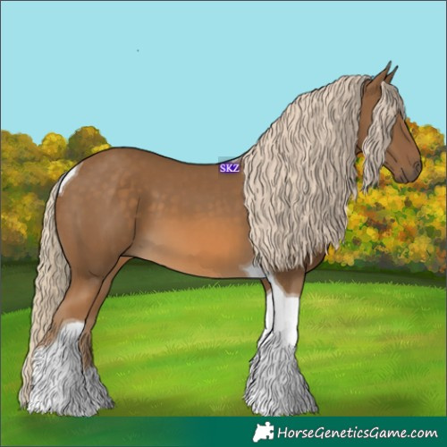 Horse Color:Chocolate Palomino Tobiano 