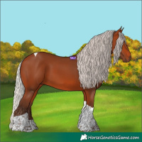 Horse Color:Silver Bay Tobiano