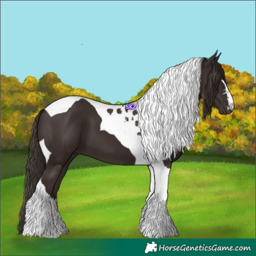 Horse Color:Liver Chestnut Tobiano 