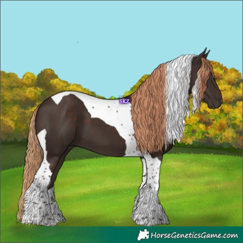 Horse Color:Liver Chestnut Tobiano 