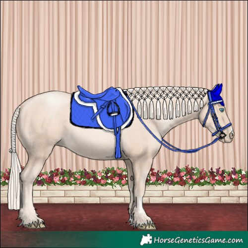Horse Color:Gold Cream Champagne Pearl Sabino