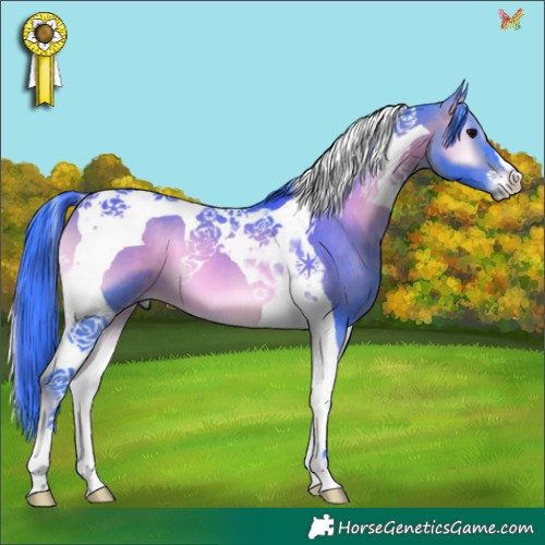Horse Color:Watercolor Brown Onyx Tobiano 