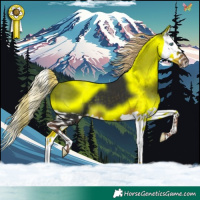 Horse Color:Liver Chestnut Splash