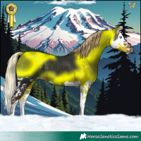 Horse Color:Liver Chestnut Splash 