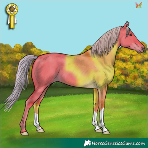 Horse Color:Watercolor Liver Red Dun 
