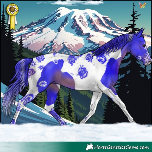 Horse Color:Watercolor Black Tobiano 