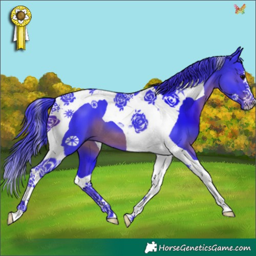 Horse Color:Watercolor Black Tobiano 
