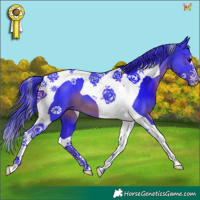 Horse Color:Watercolor Black Tobiano 