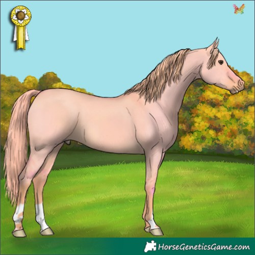 Horse Color:Watercolor Liver Red Dun 