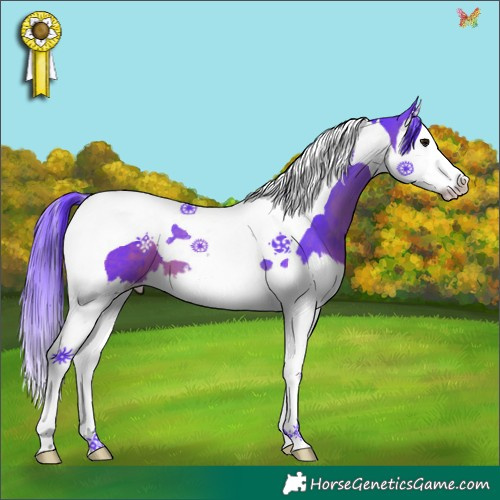 Horse Color:Watercolor Brown Splash Tobiano 