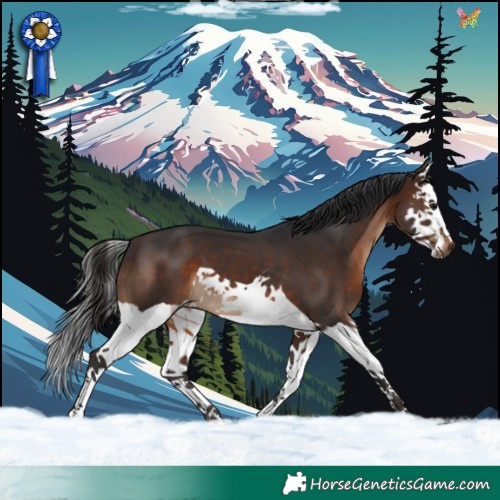 Horse Color:Brown Splash 
