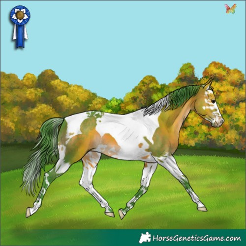 Horse Color:Watercolor Brown Splash Tobiano 