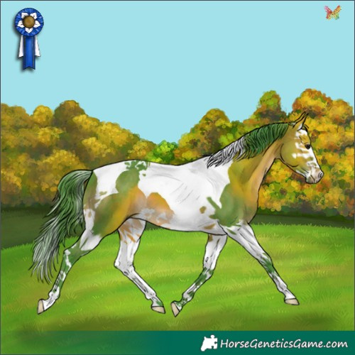 Horse Color:Watercolor Brown Splash Tobiano 