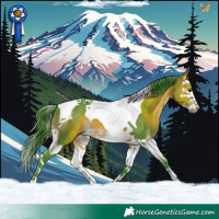 Horse Color:Watercolor Brown Splash Tobiano 