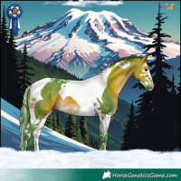 Horse Color:Watercolor Brown Splash Tobiano