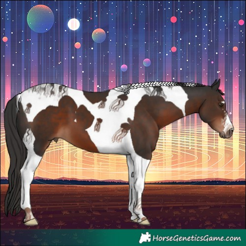 Horse Color:Liver Chestnut Tobiano 