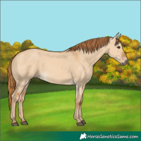 Horse Color:Red Dun
