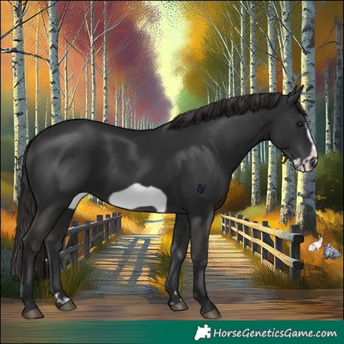Horse Color:Liver Chestnut Frame 