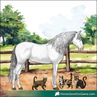 Horse Color:Liver Chestnut Frame 