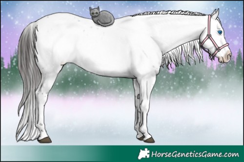 Horse Color:Liver Red Roan Frame 