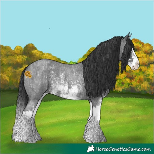 Horse Color:Blue Roan Sabino Splash  and Blue Roan Sabino Splash 
