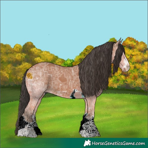 Horse Color:Bay Ice 
