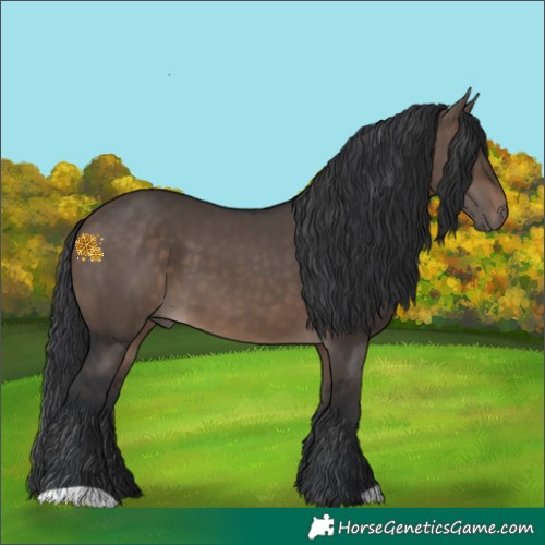 Horse Color:Brown Dun 