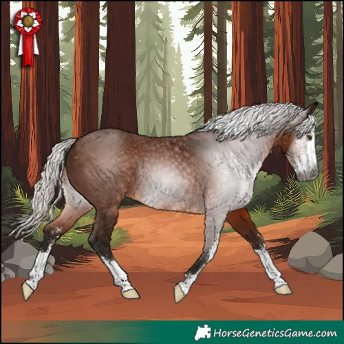 Horse Color:Gray Silver Bay Sabino 
