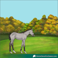 Horse Color:Platinum Liver Red Dun 
