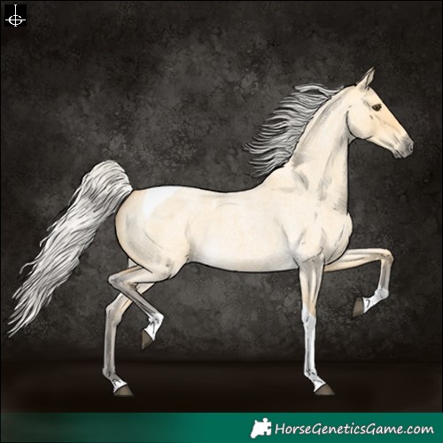 Horse Color:Silver Buckskin Roan Dun Tobiano 