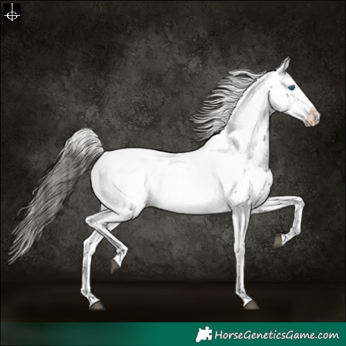 Horse Color:Liver Chestnut Frame 