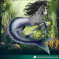 Horse Color:Blue Roan Sabino Splash  and Blue Roan Splash 