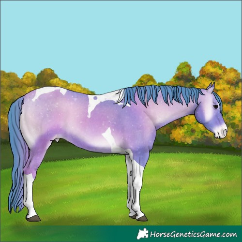 Horse Color:Watercolor Bay Onyx Tobiano Varnish 