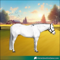 Horse Color:Black Frame 