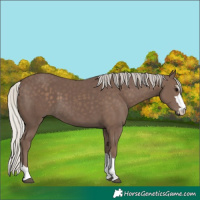 Horse Color:Silver Black 