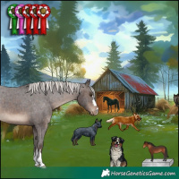 Horse Color:Silver Brown Appaloosa
