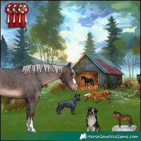 Horse Color:Silver Brown Appaloosa 