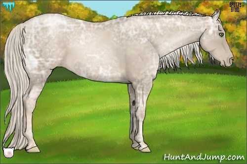 Horse Color:Chocolate Palomino Ice Pearl