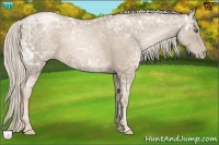 Horse Color:Chocolate Palomino Ice Pearl 