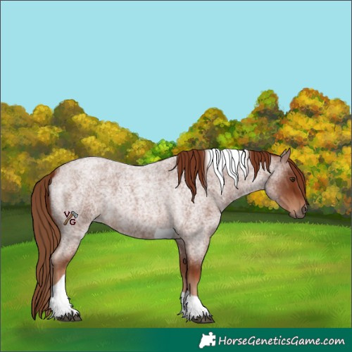Horse Color:Red Roan Tobiano 