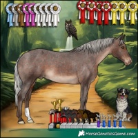 Horse Color:Silver Brown Appaloosa 