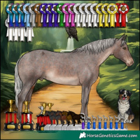 Horse Color:Silver Brown Appaloosa
