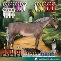 Horse Color:Silver Brown Appaloosa 
