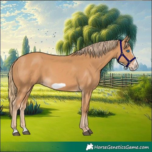 Horse Color:Chestnut Frame 