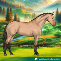 Horse Color:Bay Dun