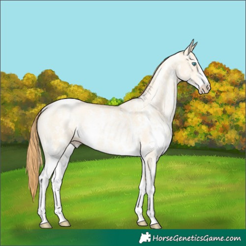 Horse Color:Buckskin Pearl Dun Sabino 